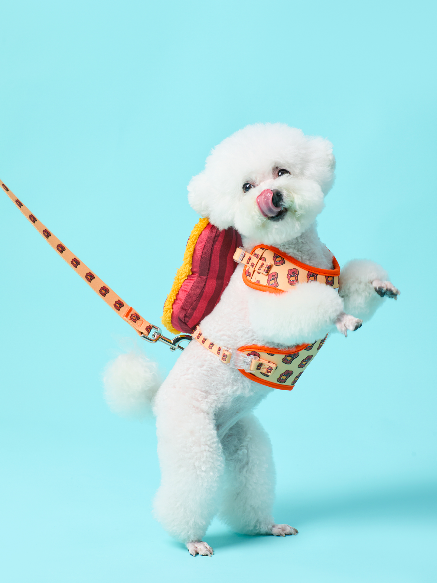 Crispy Bacon Dog Harness - RuaRua's Sizzling Comfort & Safety