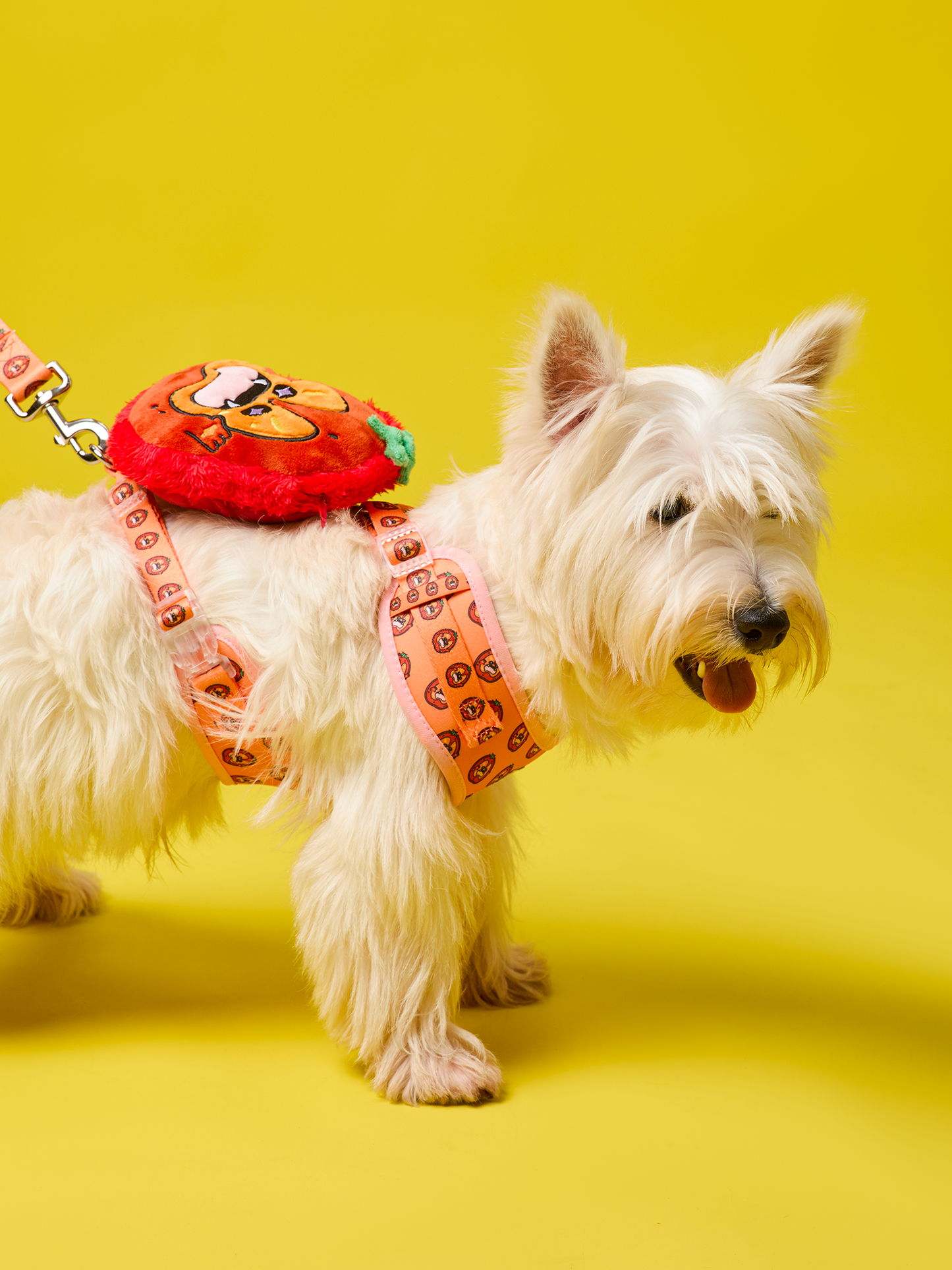 Ripe Tomato Dog Harness – Comfortable and Stylish for Daily Walks