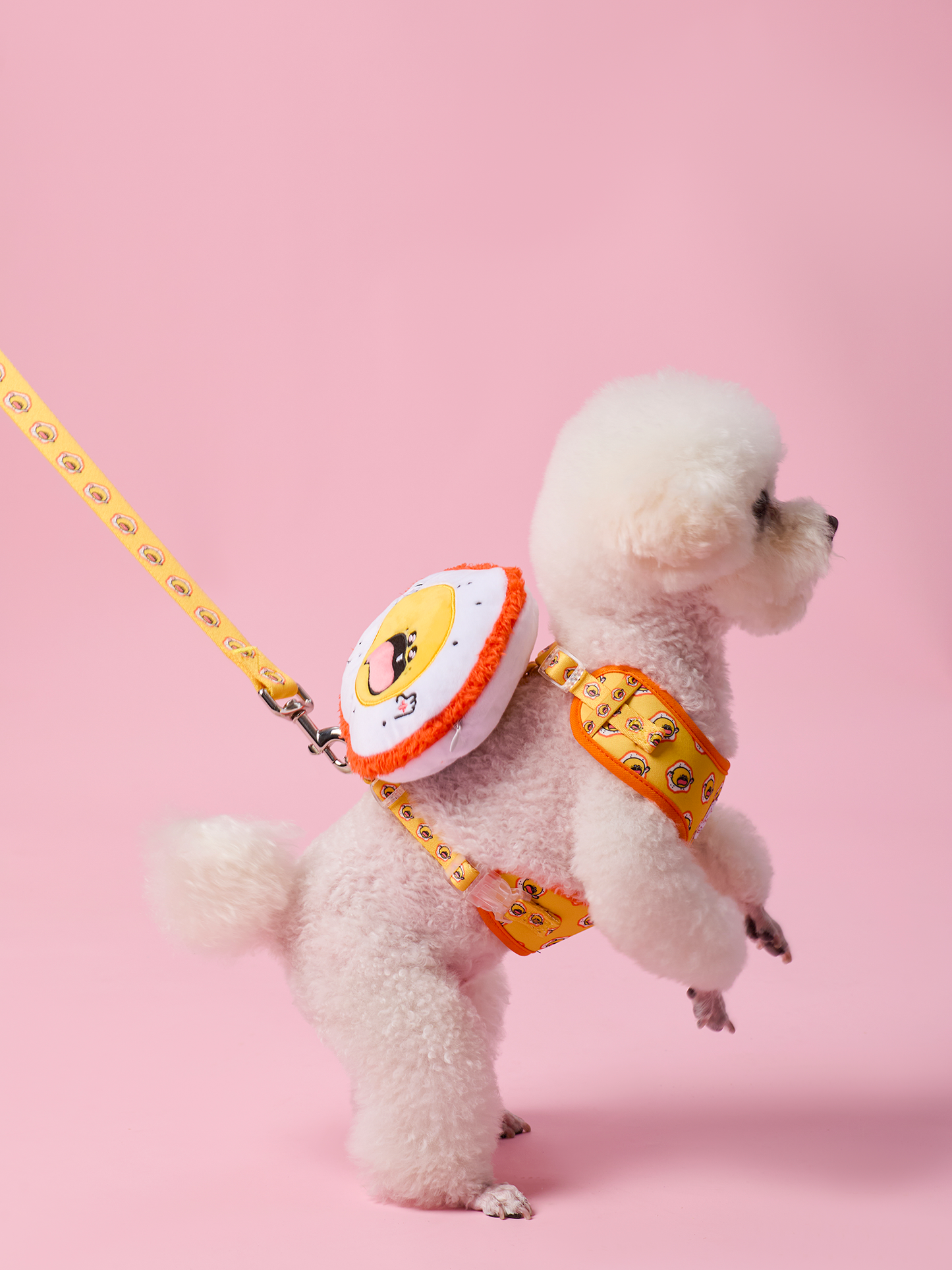 Sunny Egg Dog Harness and Leash Bundle – Comfortable, Stylish, and Durable