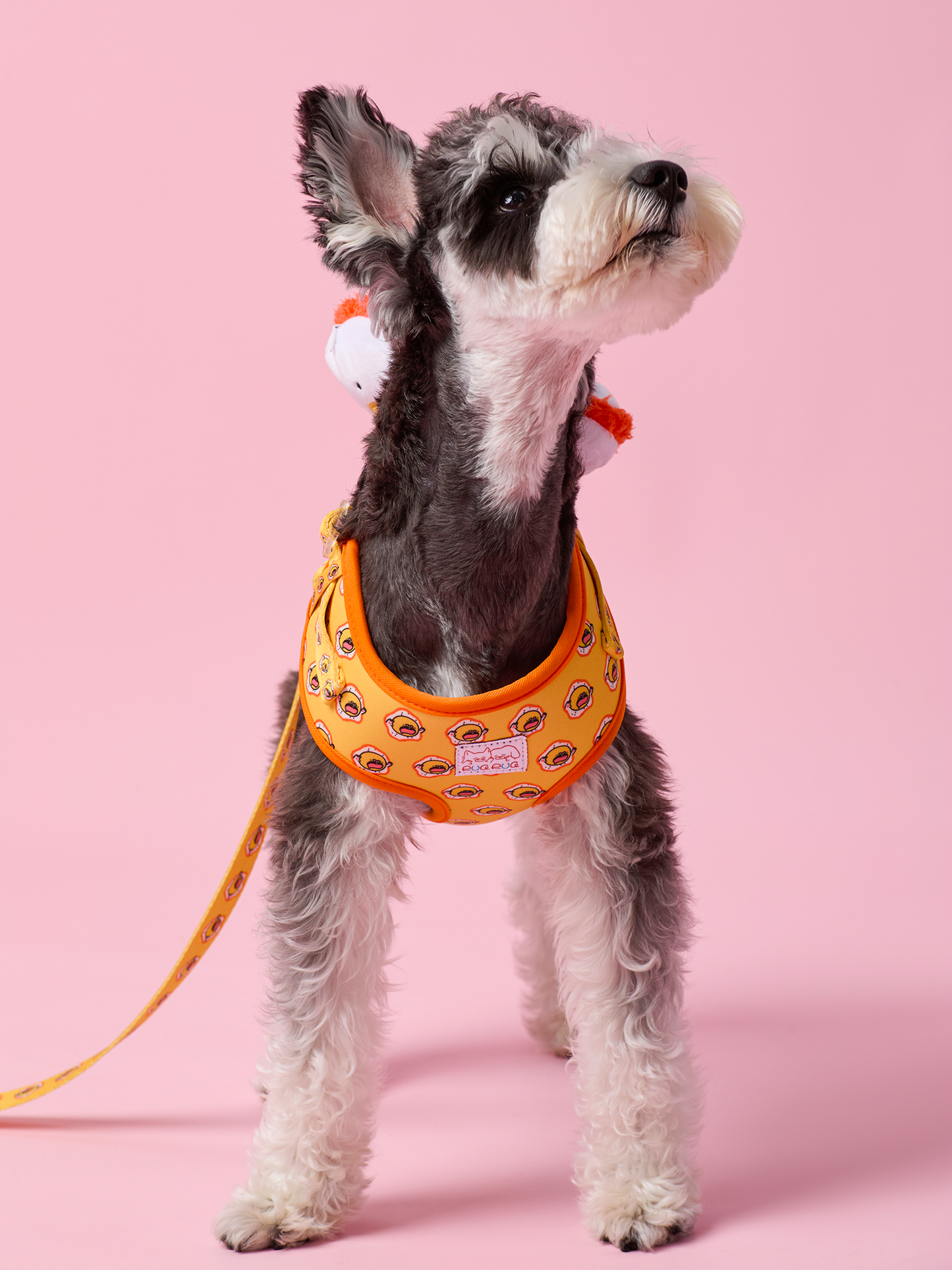 Sunny Egg Dog Harness – Comfortable and Stylish Pet Accessory