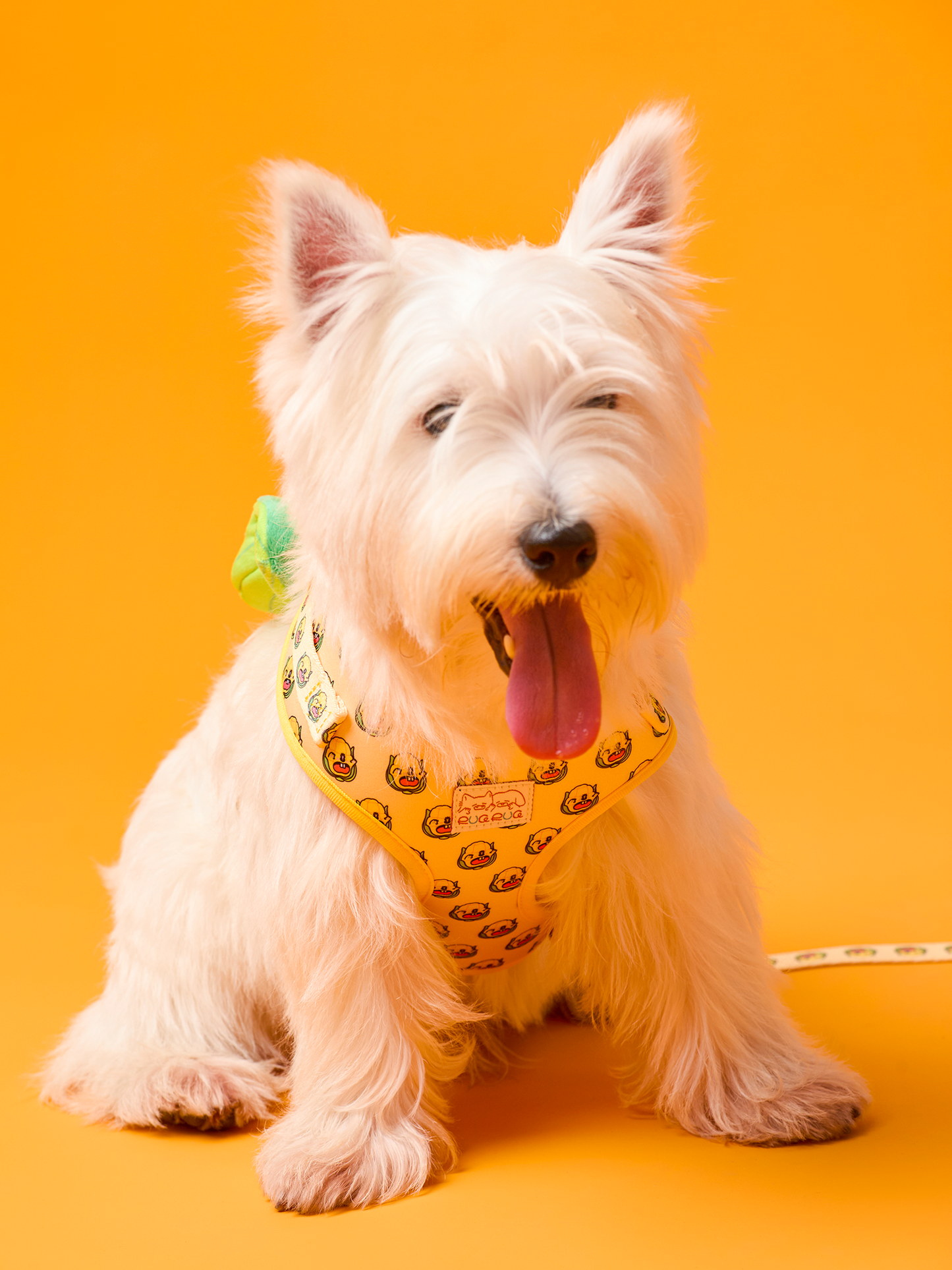 Sweetcorn Dog Harness and Leash Bundle - RuaRua's Cheerful Set
