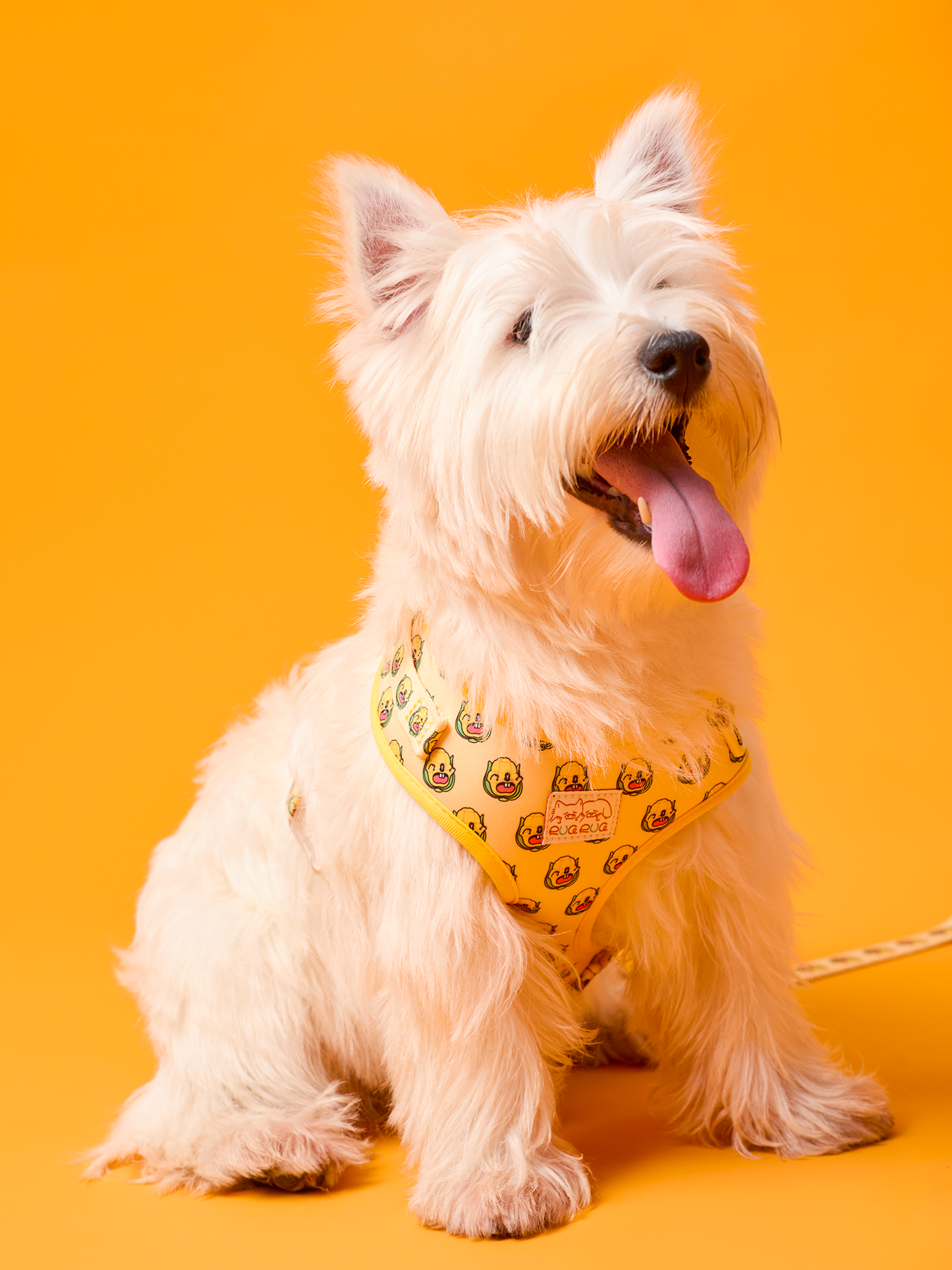 Sweetcorn Dog Harness - RuaRua's Fun & Comfortable Fit