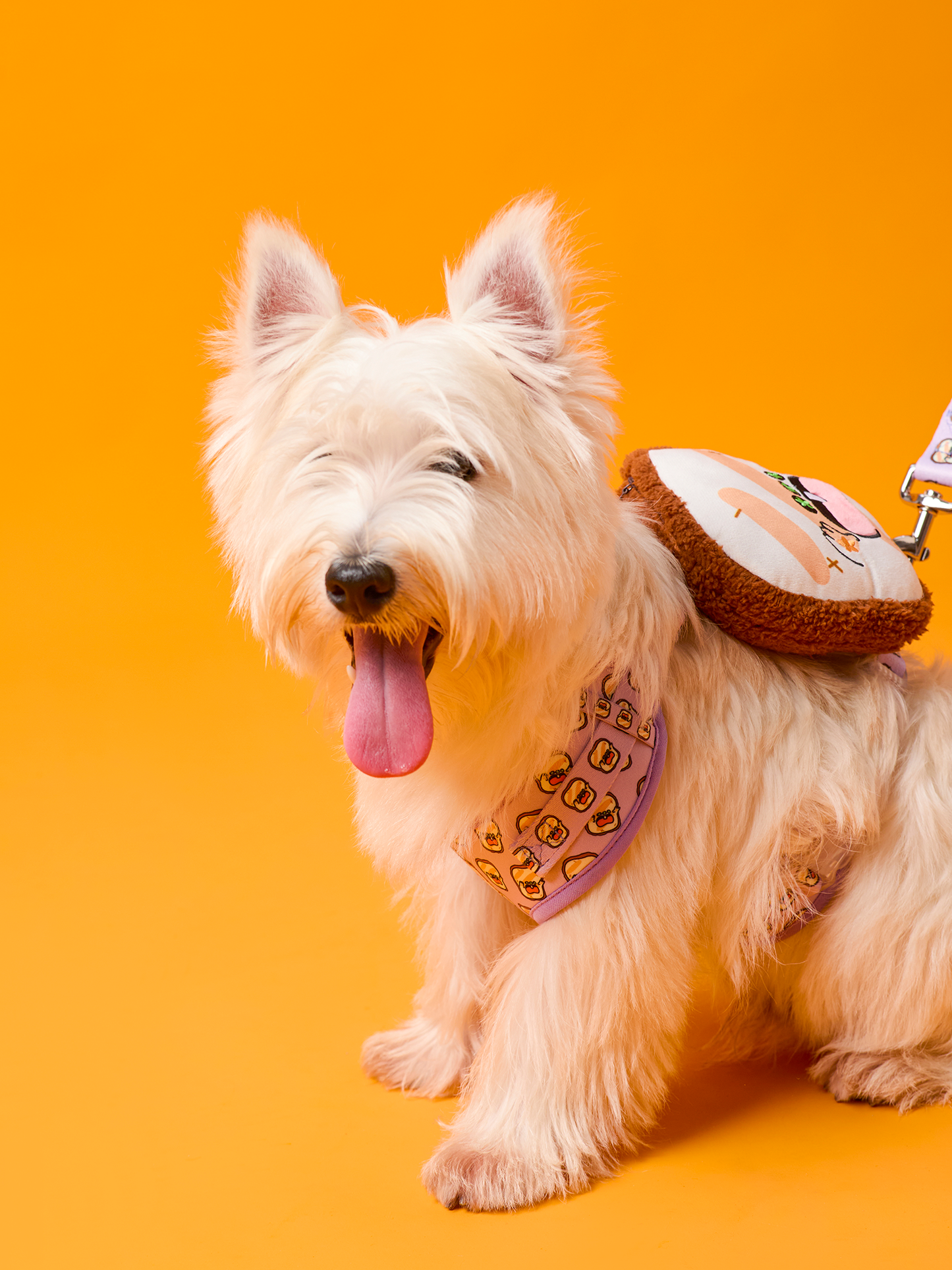 Toastie Bread Dog Harness - RuaRua's Comfort & Style