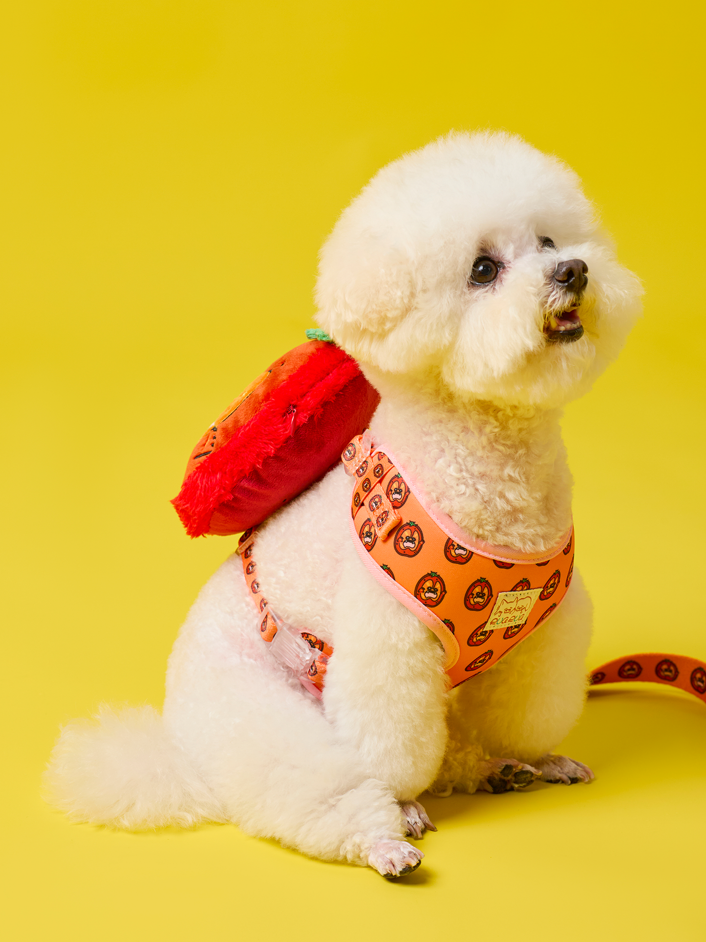 Ripe Tomato Dog Harness and Leash Bundle – Vibrant, Durable, and Comfortable