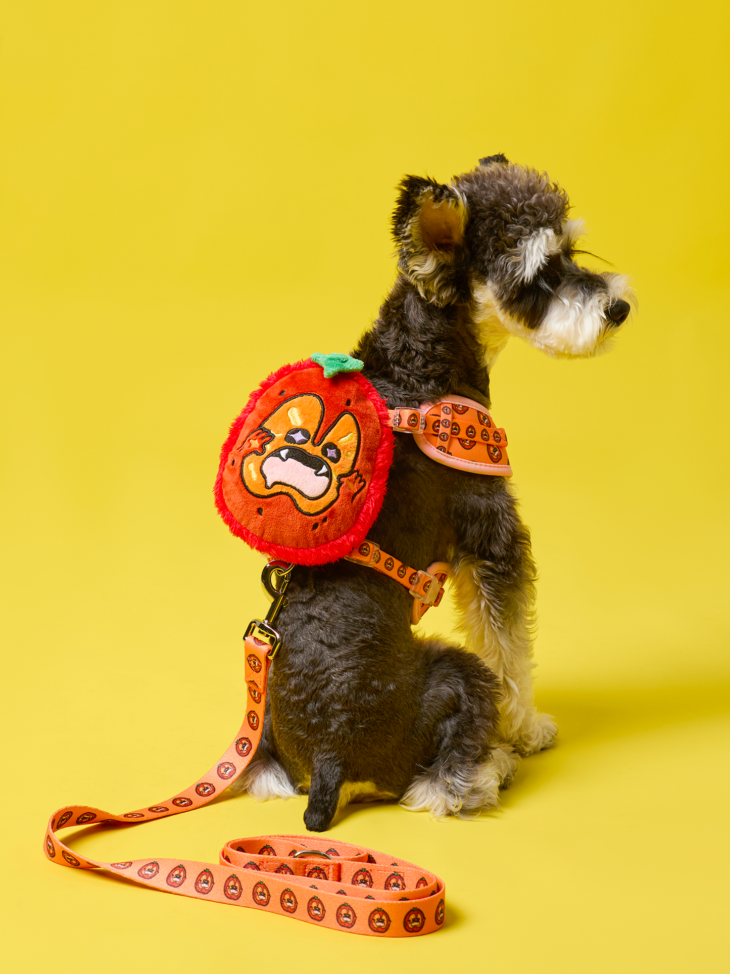 Ripe Tomato Dog Harness and Leash Bundle – Vibrant, Durable, and Comfortable