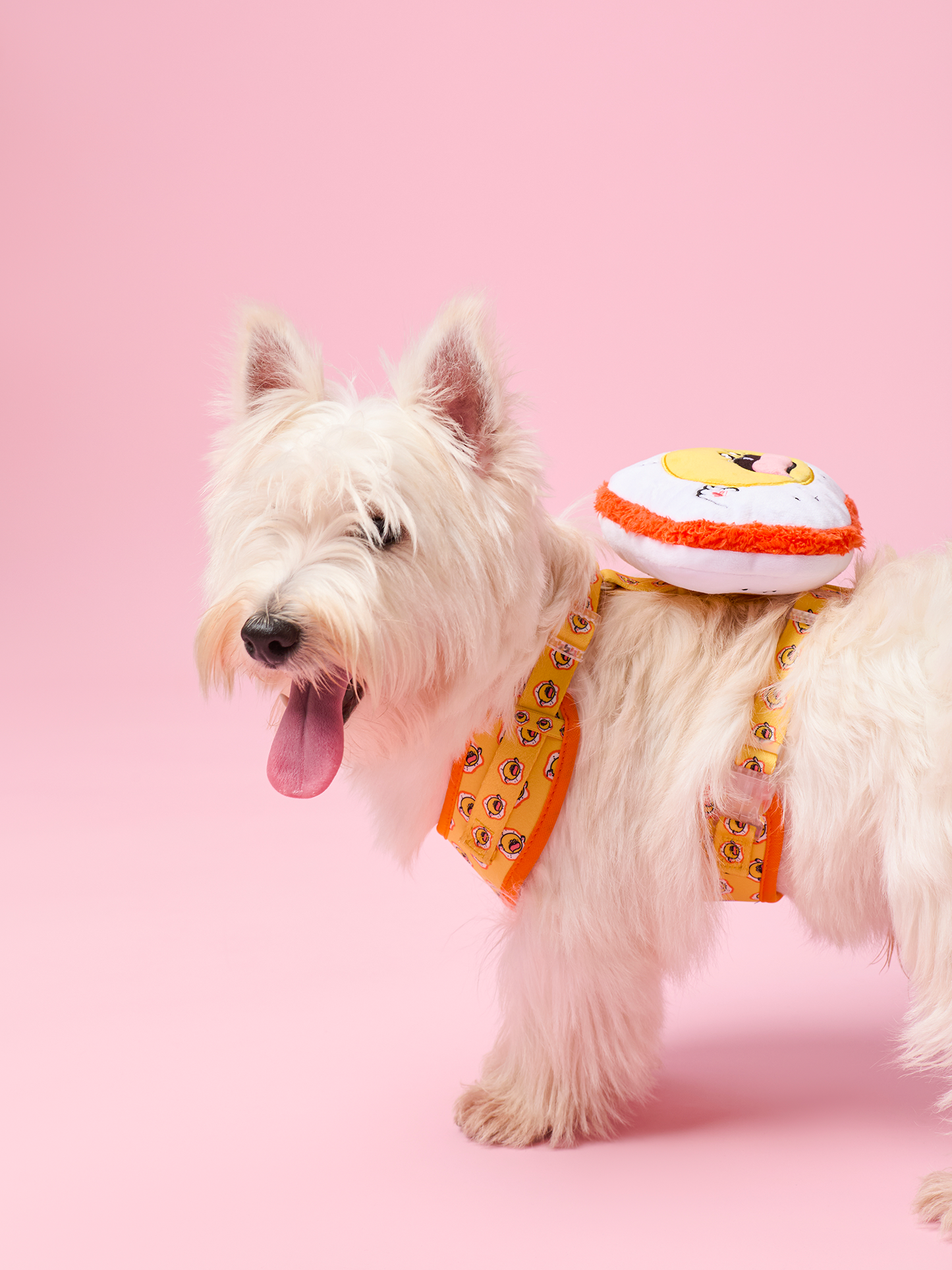 Sunny Egg Dog Harness – Comfortable and Stylish Pet Accessory
