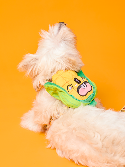 Sweetcorn Dog Harness and Leash Bundle - RuaRua's Cheerful Set