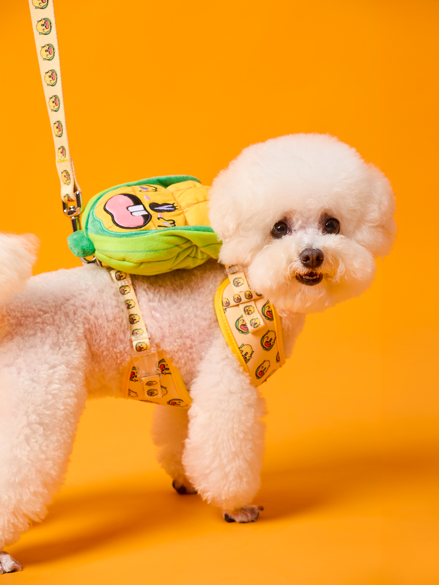Sweetcorn Dog Harness and Leash Bundle - RuaRua's Cheerful Set