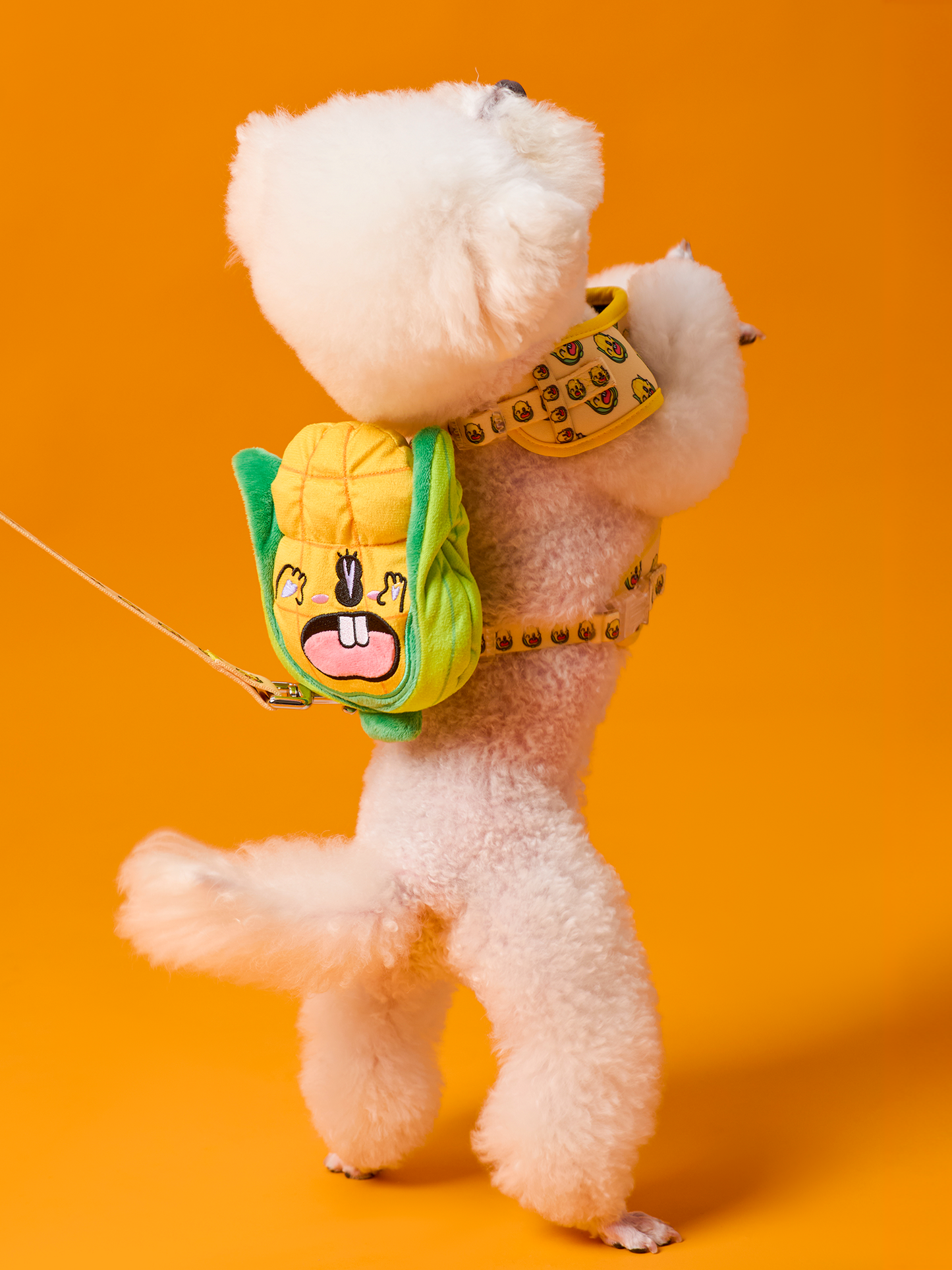 Sweetcorn Dog Harness and Leash Bundle - RuaRua's Cheerful Set